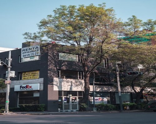 A modern editorial office space in Roma Norte Mexico City