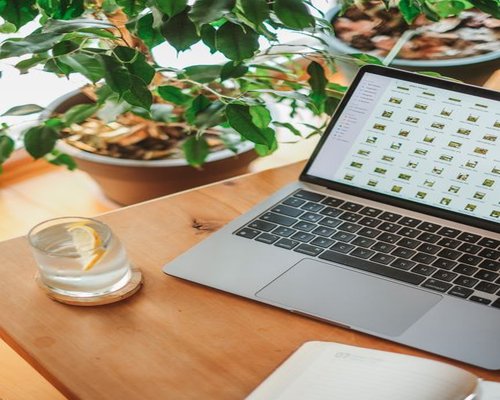 A desk setup with plants, a laptop, and a glass of water demonstrating a calm workspace